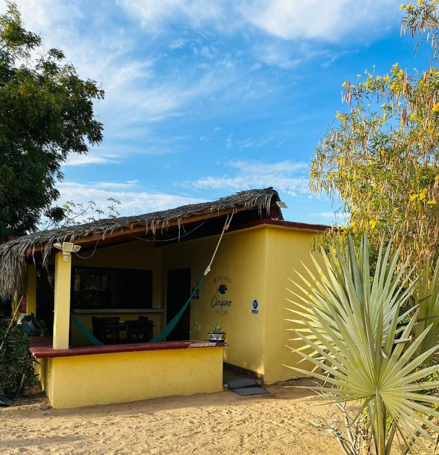 شقة Bungalow Cirujano Cabo Pulmo المظهر الخارجي الصورة